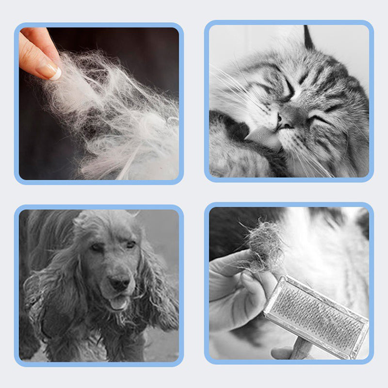 TidyFurr – Simple fur care for a clean, happy home