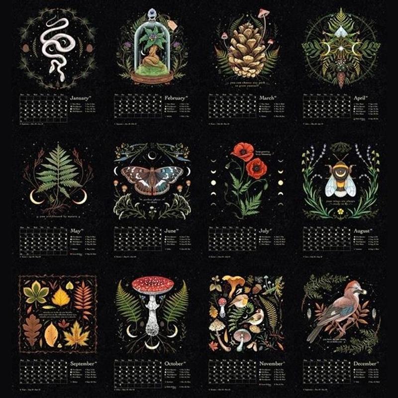 2023 Dark Forest Moon Calendar