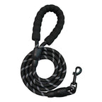 3-in-1 Pet Walking Kit