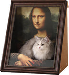 CatCanvas Comfort Meets Playtime