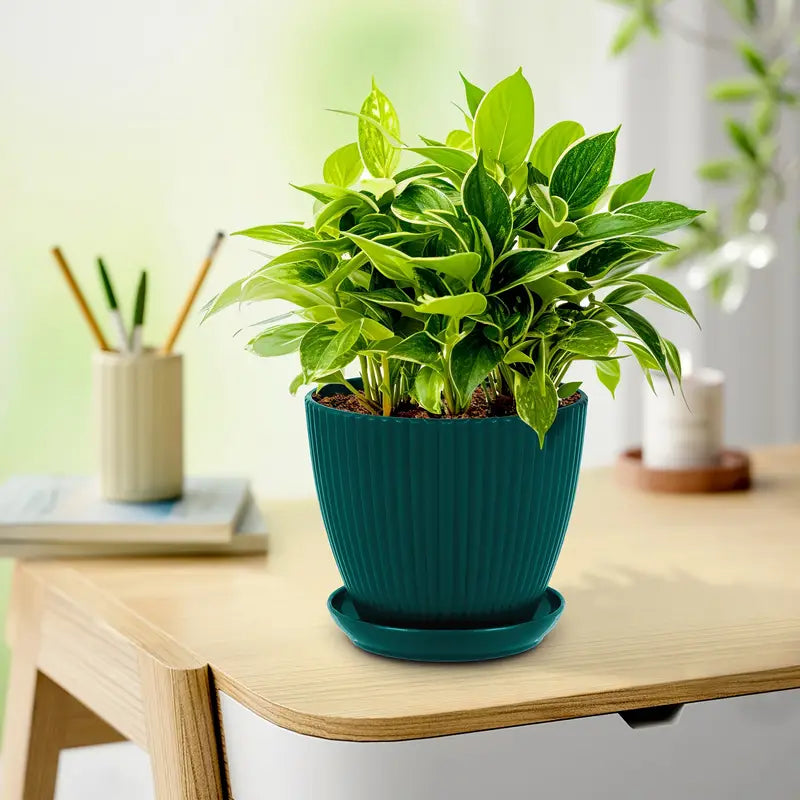 Flower pot with groove structure and saucer – Sturdy plastic pot for plants