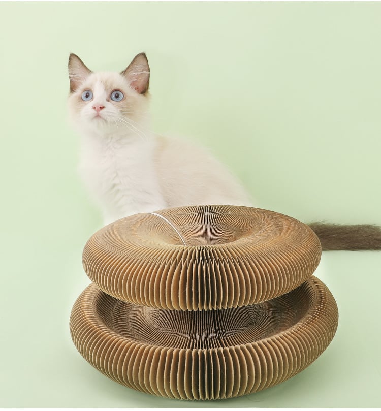 Magic Cat Scratch Board(with ball )