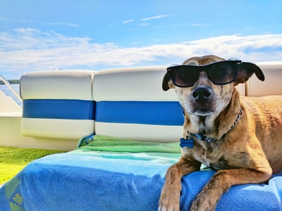 Cooling mat for pets with non-toxic self-cooling gel
