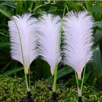Green Energy in Your Garden