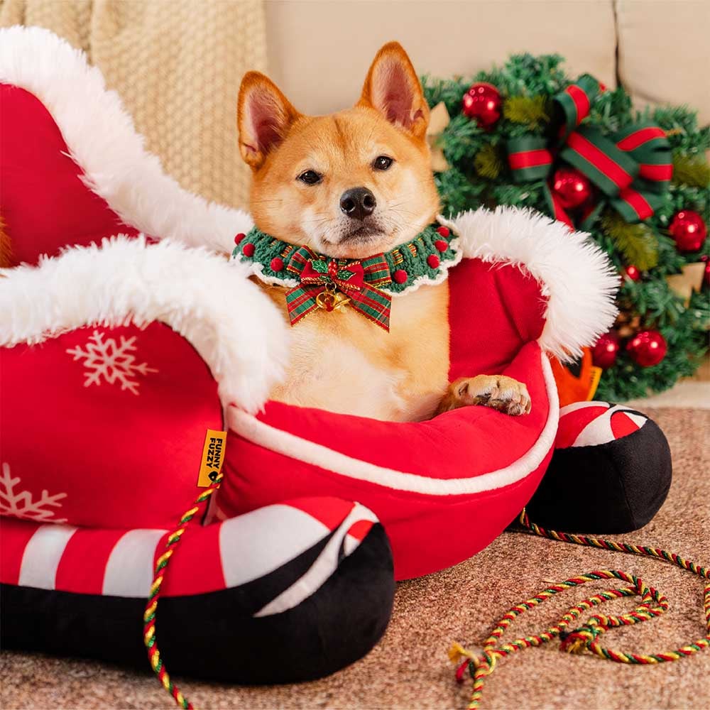 PawSleigh – The seasonal dog bed for cozy winter dreams