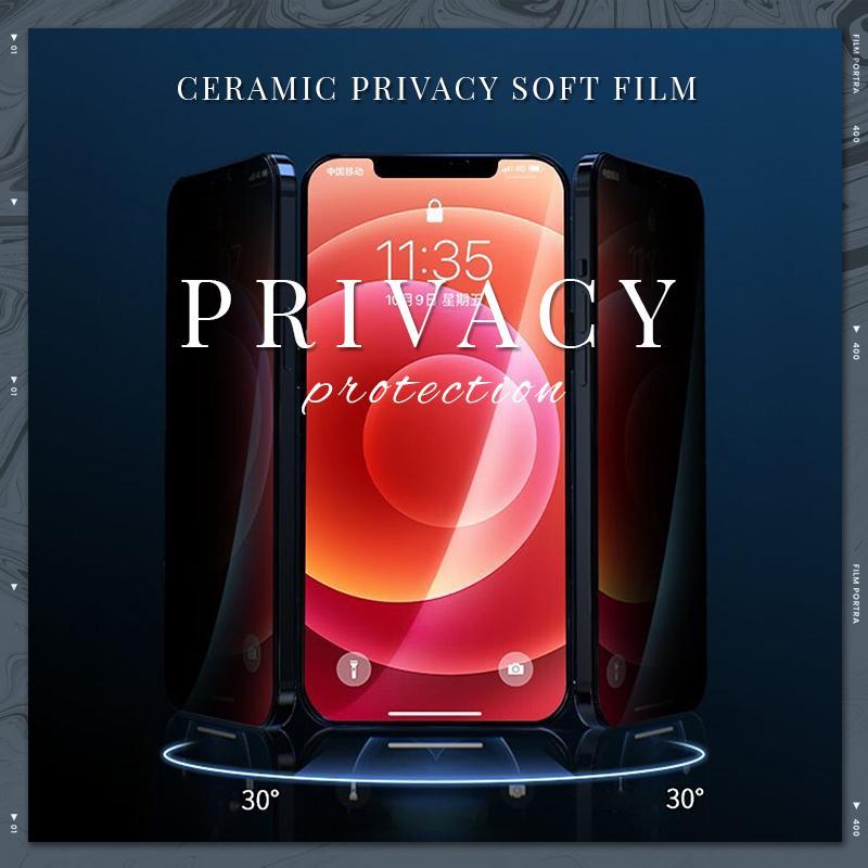 Privacy screen protector