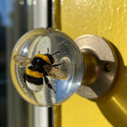 CharmGrip – Open doors with personality and style!