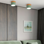 LED Ceiling Light Modern Flush Mount Cylinder