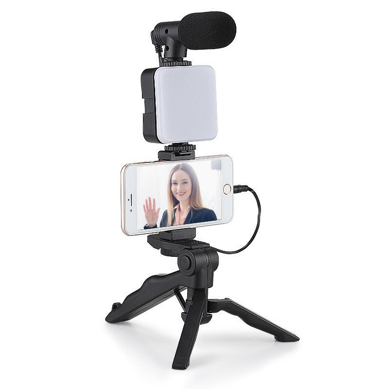Spotlight with Microphone Kit