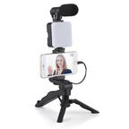 Spotlight with Microphone Kit