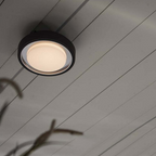 Elegant Wall Lamp Black IP65