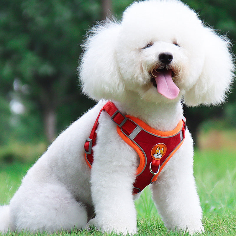 Reflective Pet Harness and Leash Set