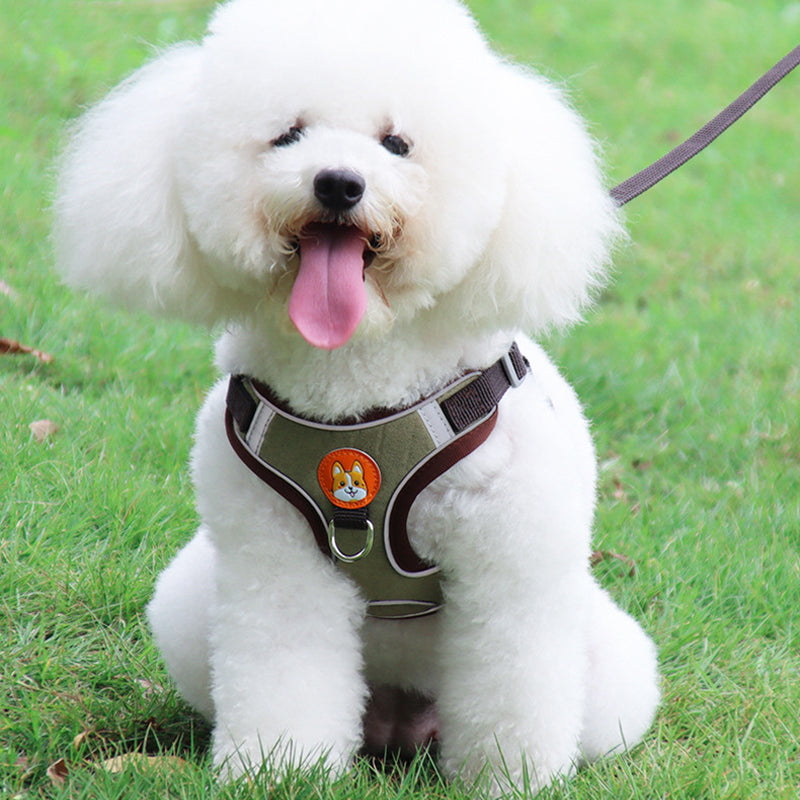 Reflective Pet Harness and Leash Set