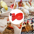 10 Piece Automatic Drinking Cups for Poultry – For Fresh Water Around the Clock