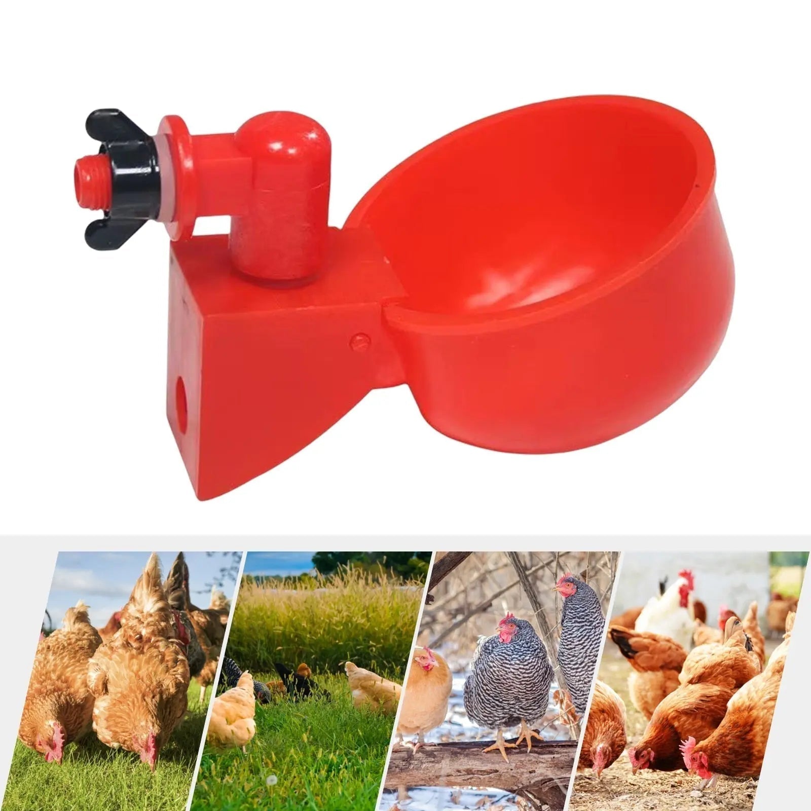 10 Piece Automatic Drinking Cups for Poultry – For Fresh Water Around the Clock