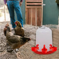 10 Piece Automatic Drinking Cups for Poultry – For Fresh Water Around the Clock