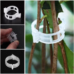 100 pcs. Plant support clips | Perfect hold for healthy plants