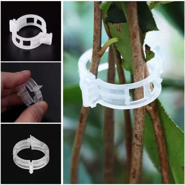 100 pcs. Plant support clips | Perfect hold for healthy plants