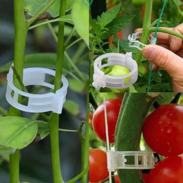 100 pcs. Plant support clips | Perfect hold for healthy plants