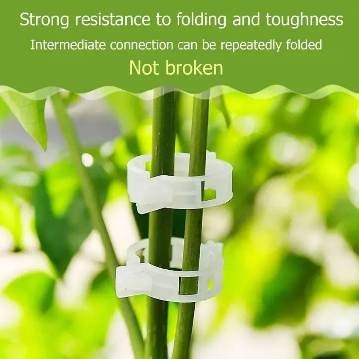 100 pcs. Plant support clips | Perfect hold for healthy plants