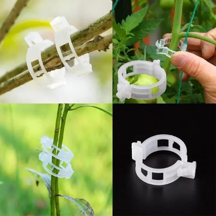 100 pcs. Plant support clips | Perfect hold for healthy plants