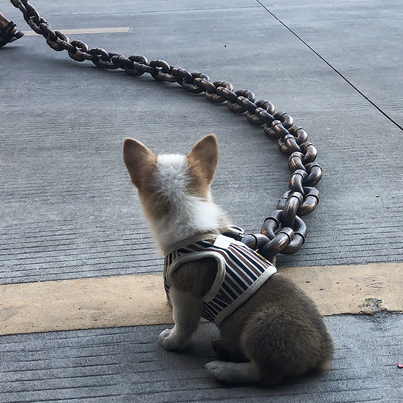 Funny Large Dog Collar