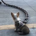 ChainWalk Leash