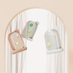 Multi-functional soap box with bath brush