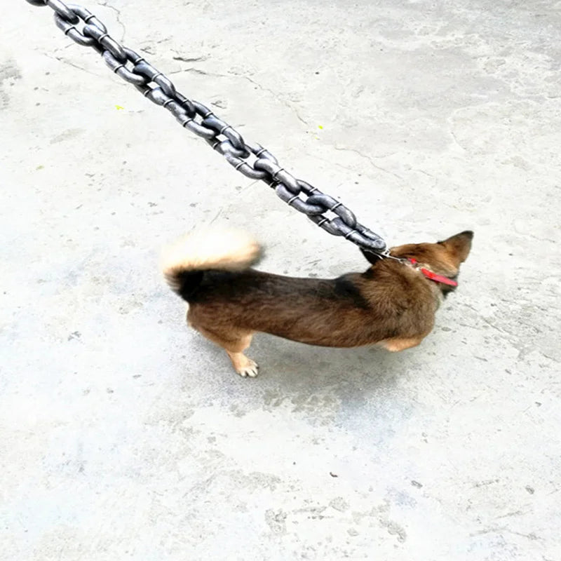 Funny Large Dog Collar
