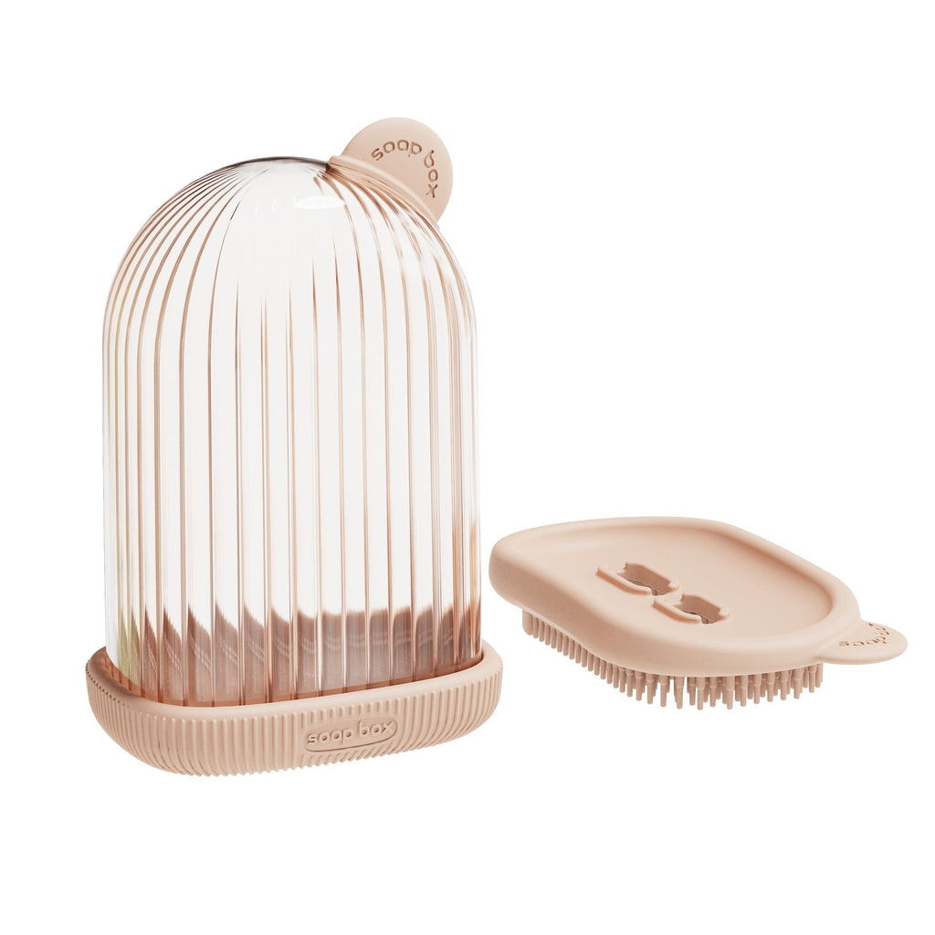 Multi-functional soap box with bath brush