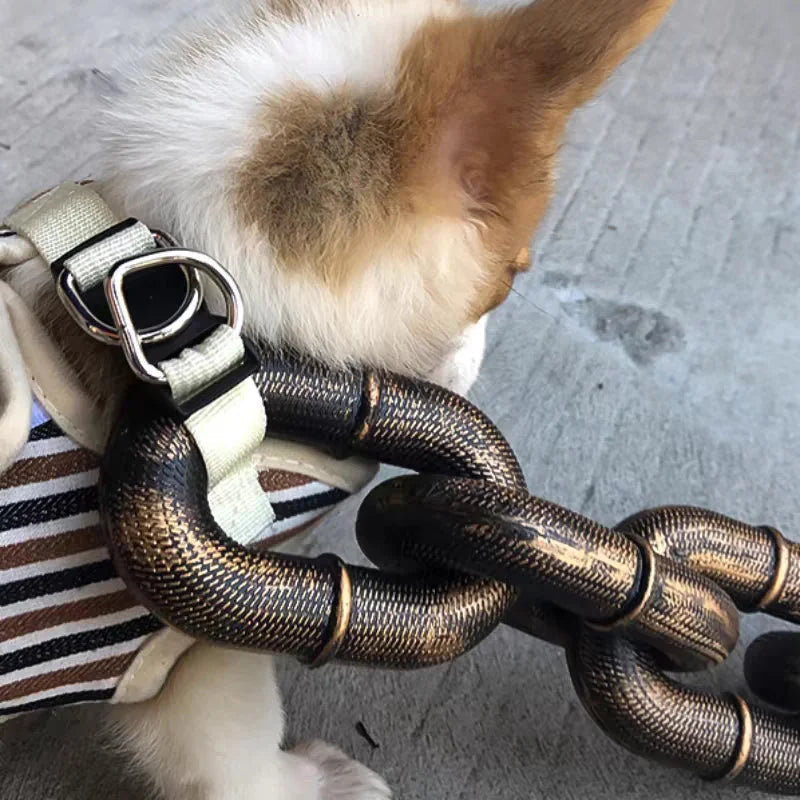 Funny Large Dog Collar