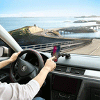 Support Phone Dock Car