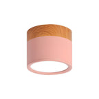LED Ceiling Light Modern Flush Mount Cylinder