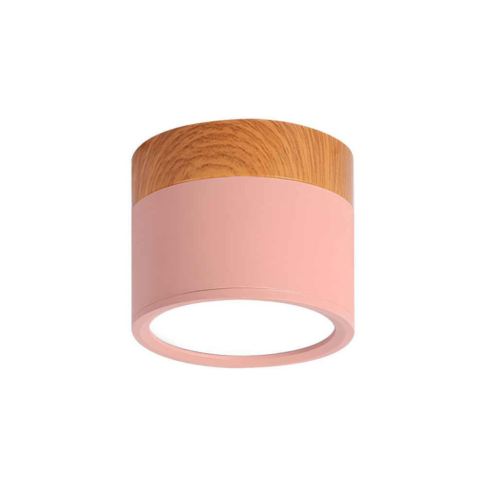 LED Ceiling Light Modern Flush Mount Cylinder