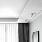LED Ceiling Light with Adjustable Spotlight Head