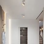 LED Ceiling Light with Adjustable Spotlight Head