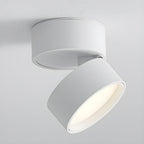 LED Ceiling Light with Adjustable Spotlight Head