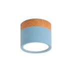 LED Ceiling Light Modern Flush Mount Cylinder
