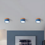 Ceiling Light with Pink Flush Wood Finish