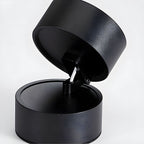 LED Ceiling Light with Adjustable Spotlight Head