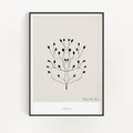 Growth 03