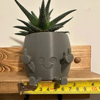 Smiling Plant Pot with Middle Fingers Up