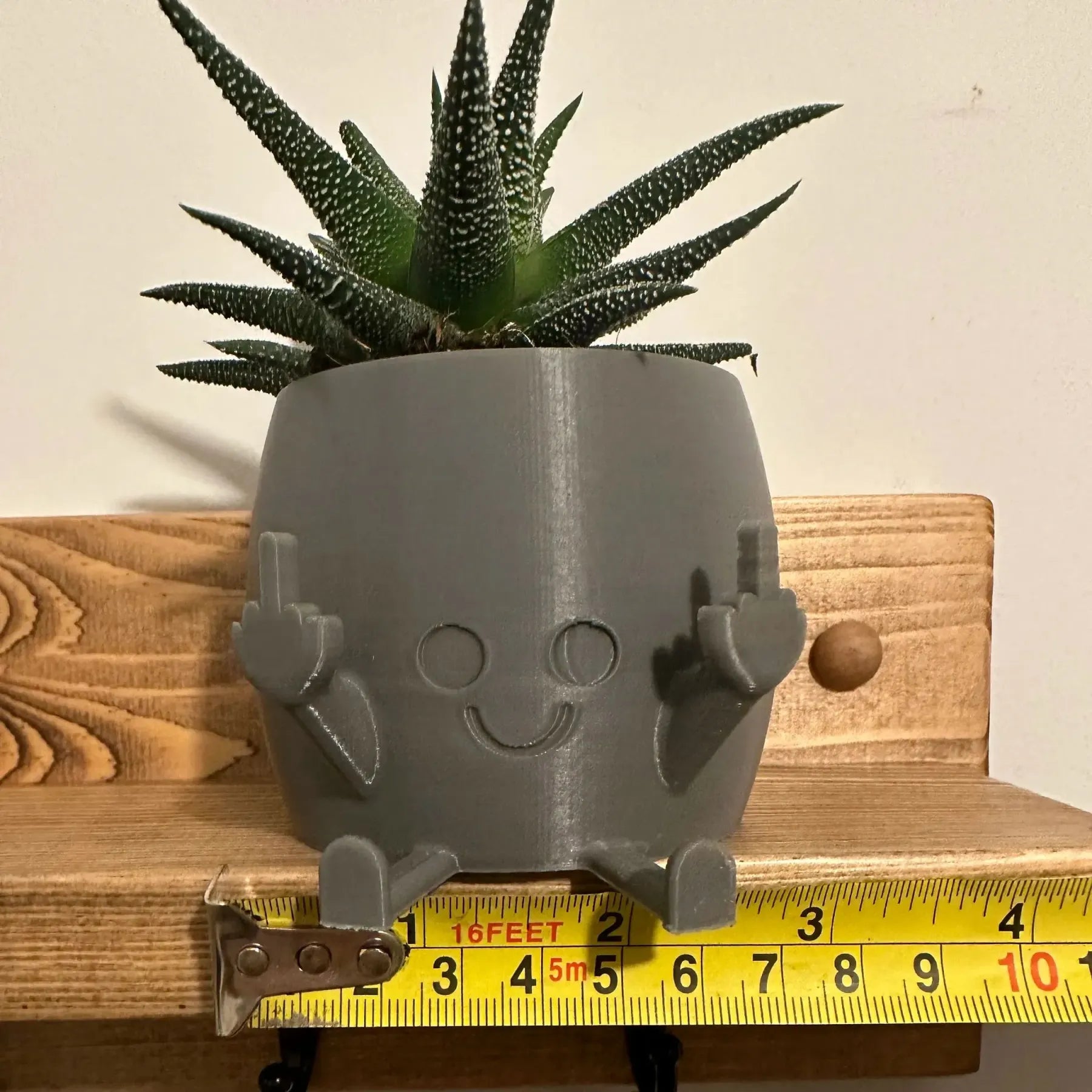 Smiling Plant Pot with Middle Fingers Up