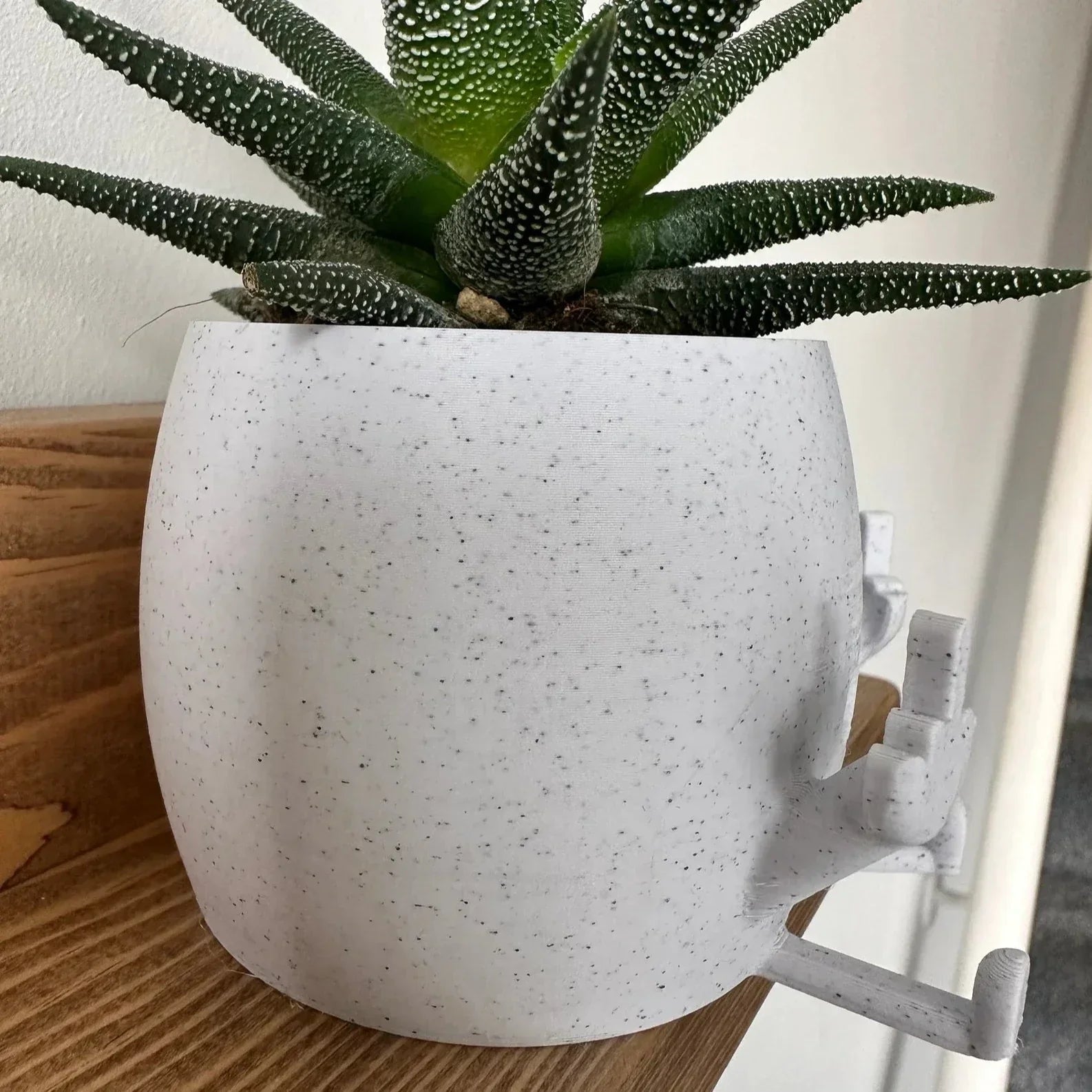 Smiling Plant Pot with Middle Fingers Up