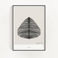 Growth 01