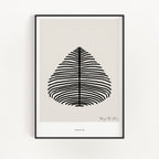 Growth 01