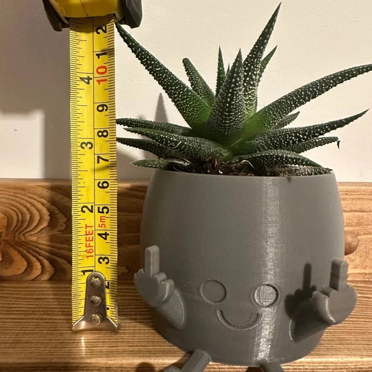 Smiling Plant Pot with Middle Fingers Up