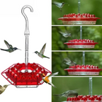 Ant-Proof Hummingbird Feeder with 30 Bee-Resistant Ports