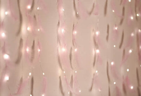 Feather LED Atmosphere USB Remote Control Copper Wire Light String