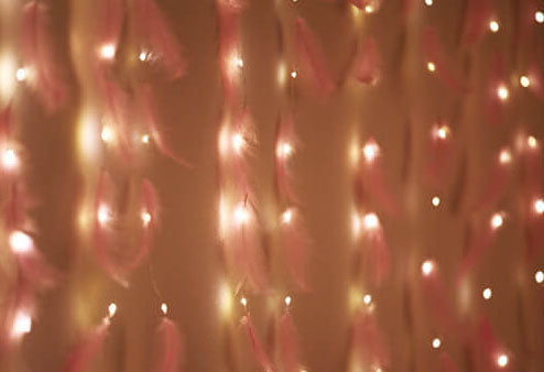 Feather LED Atmosphere USB Remote Control Copper Wire Light String